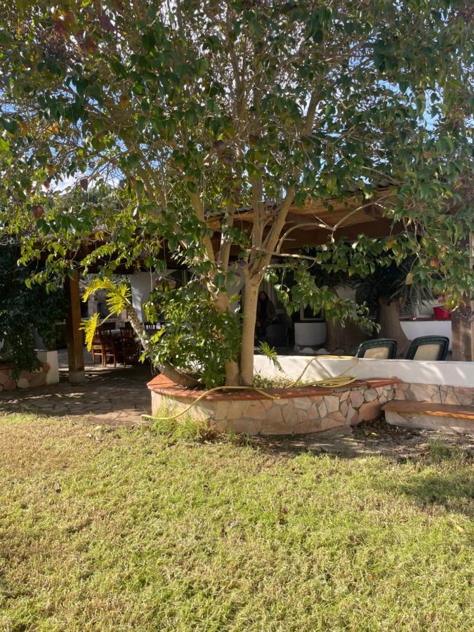 Villa Roy House Alghero Exterior foto